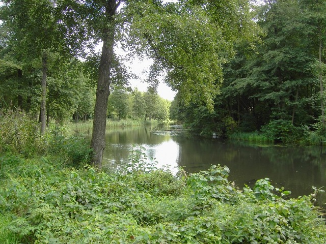 Bild: Friedrich-Wilhelm-Kanal bei Groß Lindow